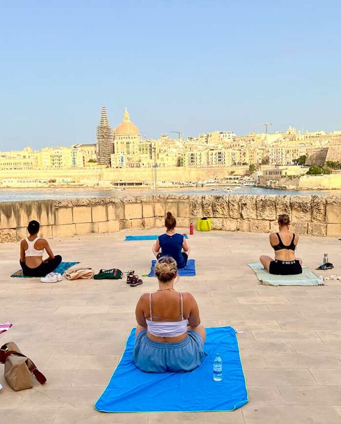 Hatha-Vinyasa-Minature