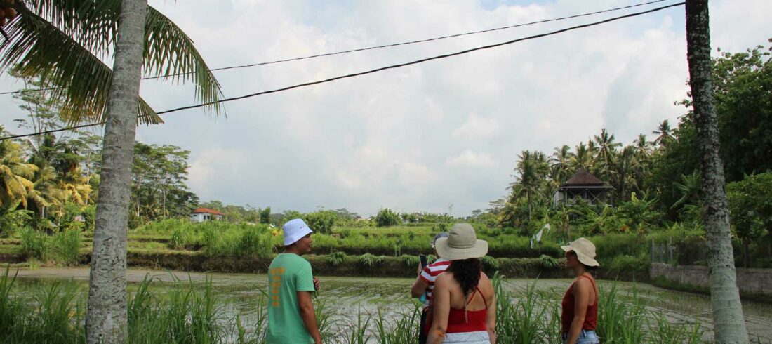 yoga-bali-10-home
