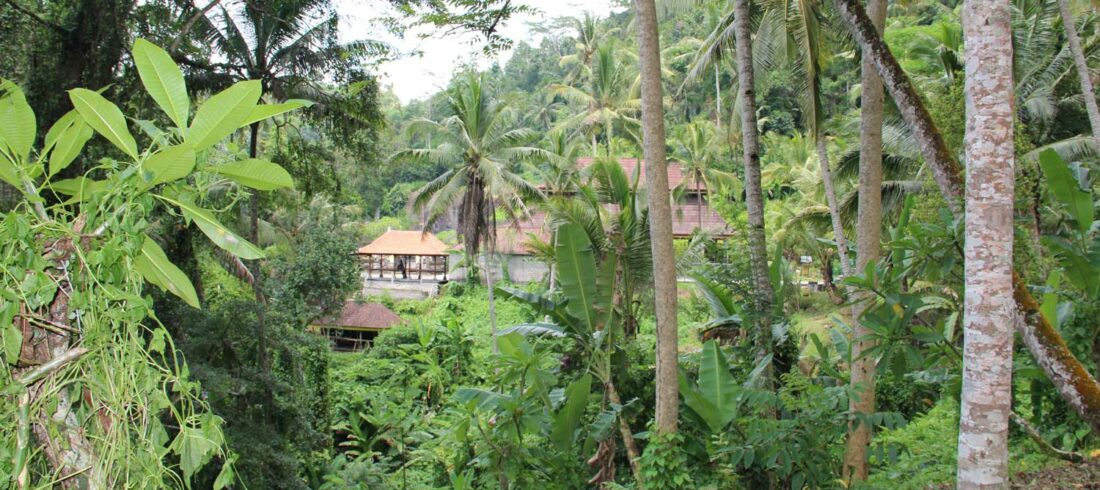 yoga-bali-5-home
